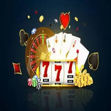 333bet14